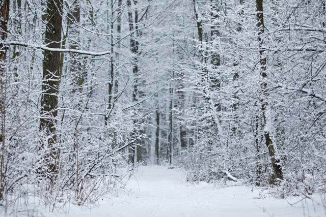 winter