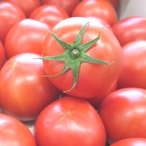 フルーツトマト