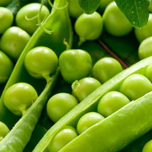 スナップえんどう